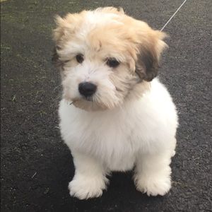 Meet your Posher, Wendy